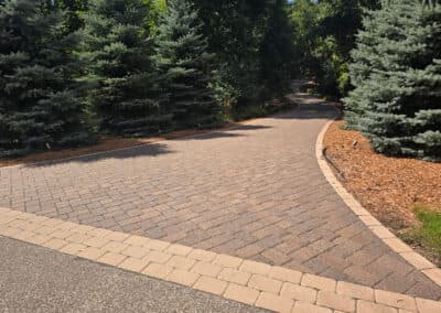 Curved stone pathway surrounded by evergreen trees and mulch in a landscaped garden.
