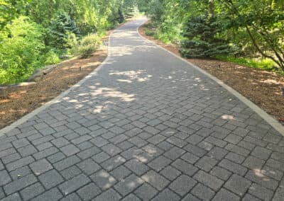 Paved walkway winding through lush greenery in a serene park setting.